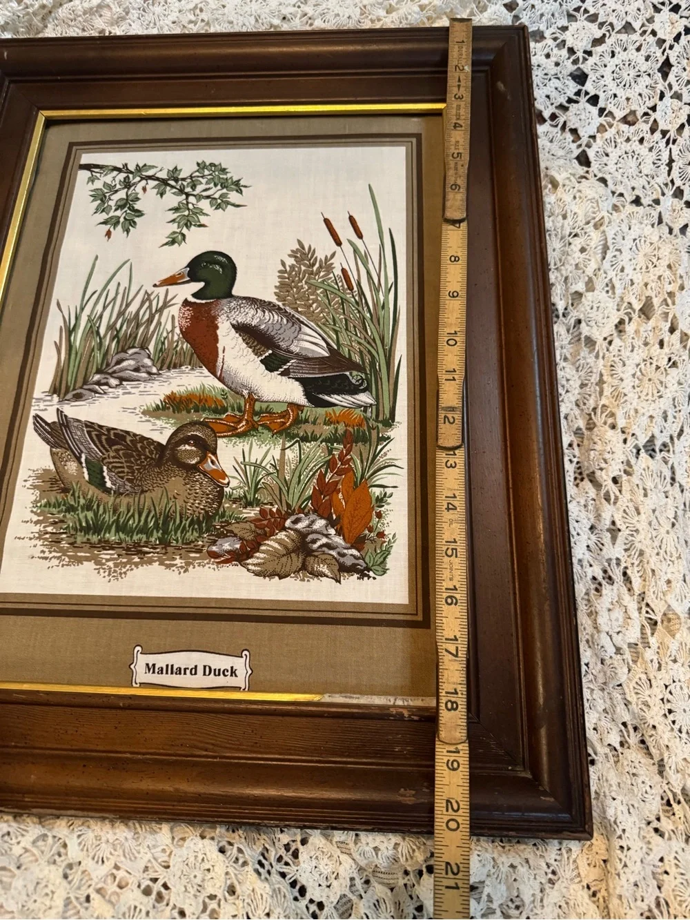 Vintage Brown and Green Mallard Duck Wall Art